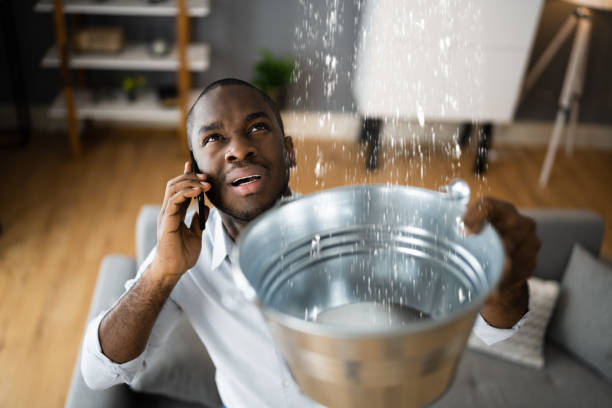 Best Residential water damage restoration  in Kodi Station, AK
