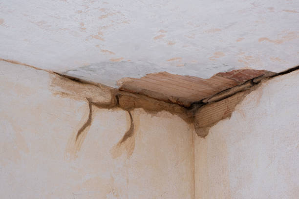 Best Carpet water damage restoration  in Kodi Station, AK