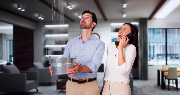 Best Local water damage restoration  in Kodi Station, AK