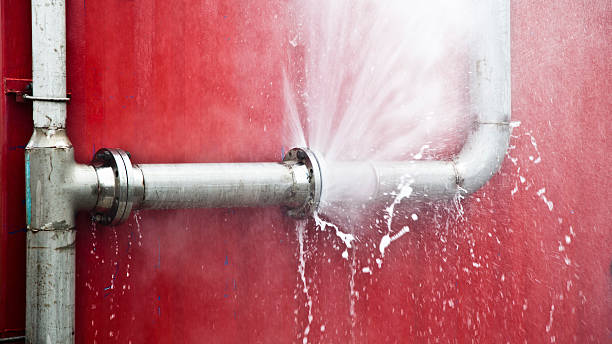 Best Water damage restoration services  in Kodi Station, AK